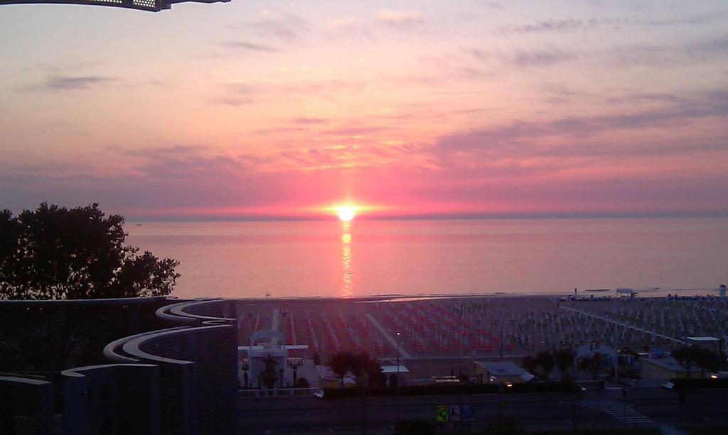 Grifone Rimini